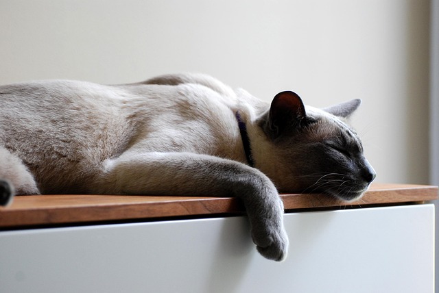 Yoga Therapy: Mindful Postures for Stress Relief and Addiction Support