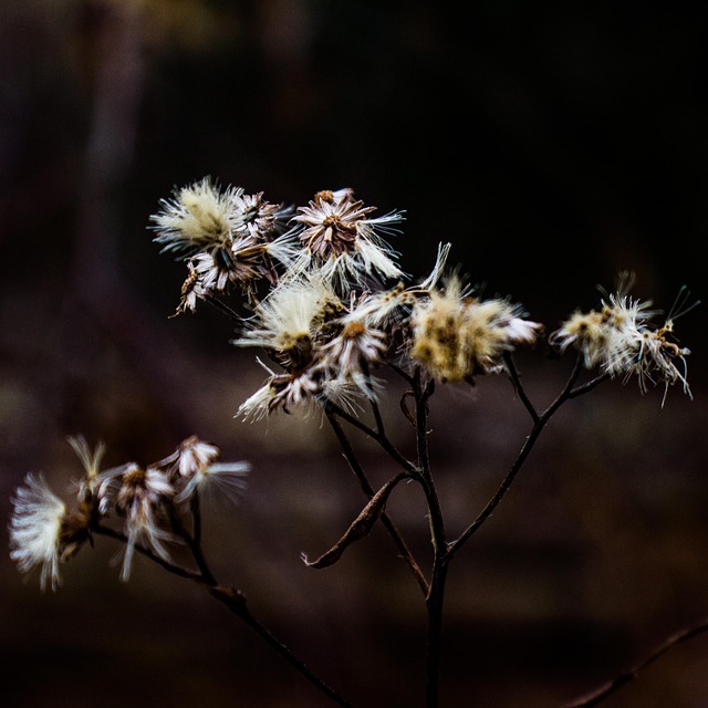 Addiction Recovery Centers Near Manchester, NH: A Comprehensive Guide
