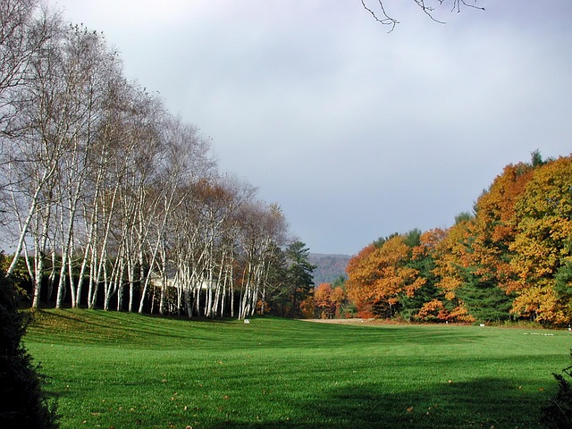 Discover Top-Rated Addiction Recovery Centers in Rochester, NH