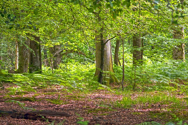 Family-Oriented Recovery Programs in Keene, NH: Supporting Addicts Holistically
