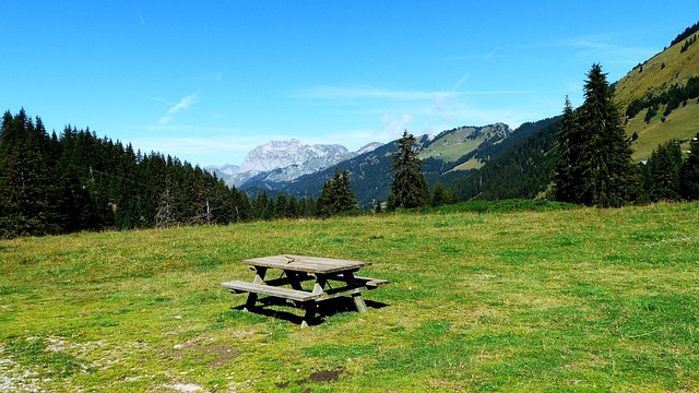 Holistic Retreats: Yoga, Meditation, Nutrition for Deep Healing Plus Online 12-Step Meetings