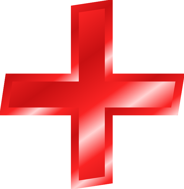 Co-dependency Support Groups: Empowering Loved Ones Through Peer Accountability