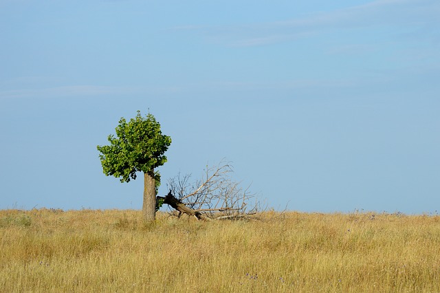 Cultivating Healthy Relationships: Boundaries, Assertiveness, and Communication