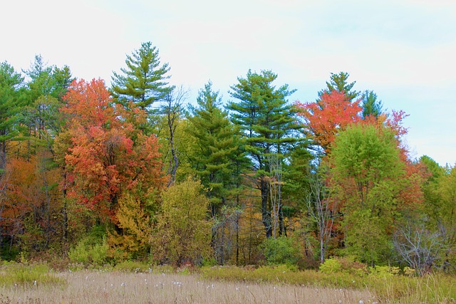 Keene, NH: Creating a Supportive Recovery Environment for Alcohol Addiction