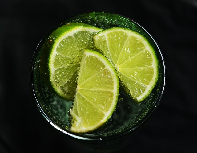 Luxury Detox and Wellness for Indianapolis Executives: Customized Recovery Solutions