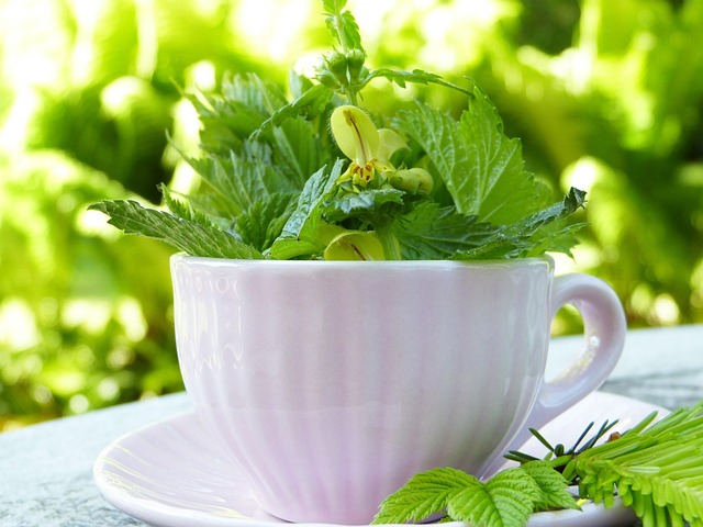 detox