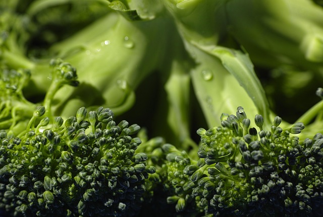 Unveiling Top-Tier Detox Programs in Portsmouth, NH