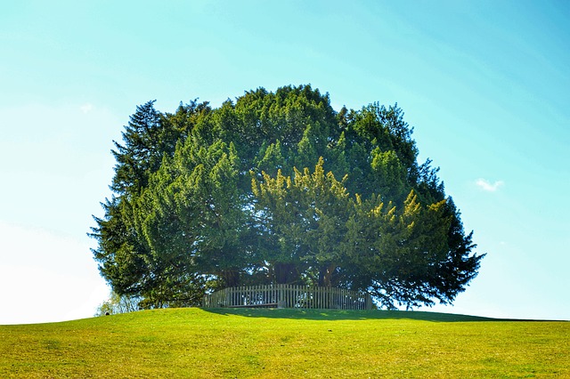 Affordable Drug Rehabs in Concord, NH: A Pathway to Recovery
