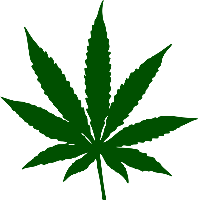Drug Rehabs Concord NH: Intensive Care Units Fuel Recovery Transformations