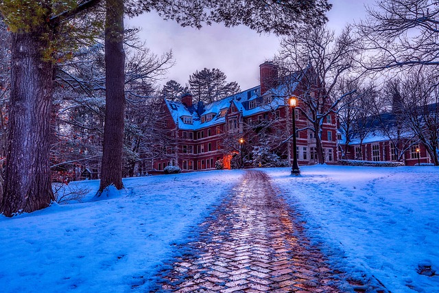 Executive Counseling & Rehabs in NH: Transforming Leadership Challenges