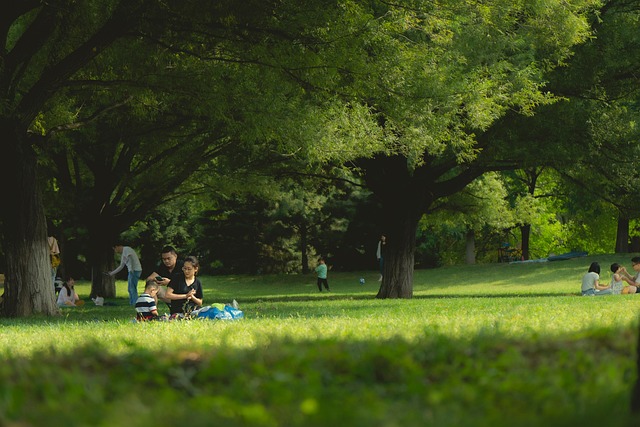 Professional Intervention Services in Indiana: Stabilizing Family Crises