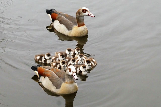 family-therapy-640x480-64257320.jpeg