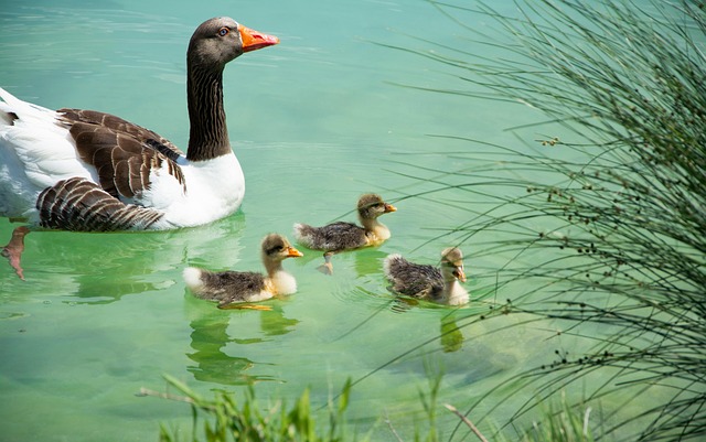 family-therapy-640x480-83451462.jpeg