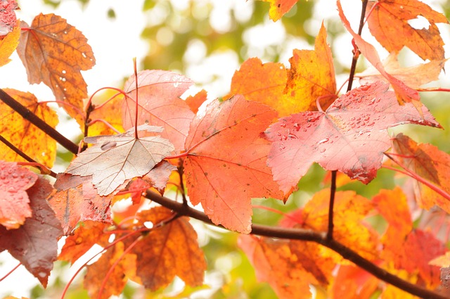 Intensive Outpatient Programs Manchester NH: Your Path to Freedom from Addiction