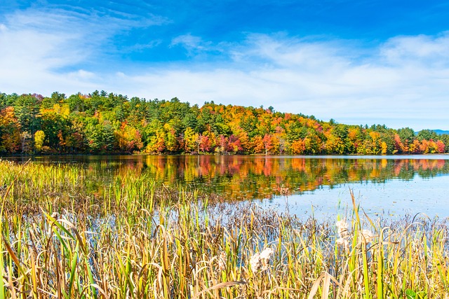 Discover Specialized Care with Intensive Outpatient Programs in Nashua, NH