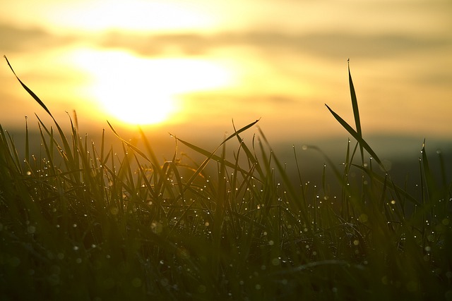 Intensive Outpatient Programs Rochester New Hampshire