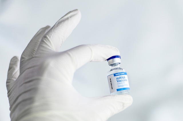 Opioid Treatment Programs Dover New Hampshire