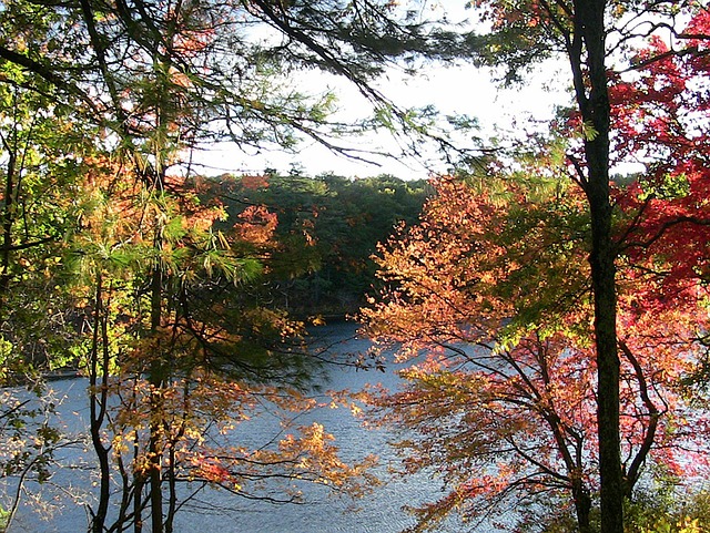Outpatient Rehabilitation for Eating Disorders in Concord, NH: A Comprehensive Guide