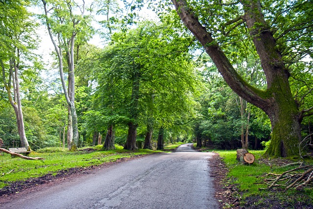 Outpatient Rehabs Nashua NH: Navigating Recovery with Comprehensive Care