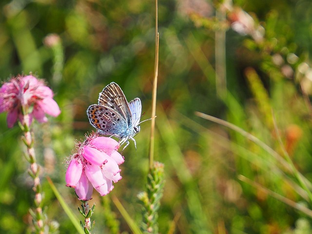 Specialized Care & PHP in Portsmouth, NH: Finding Hope & Healing