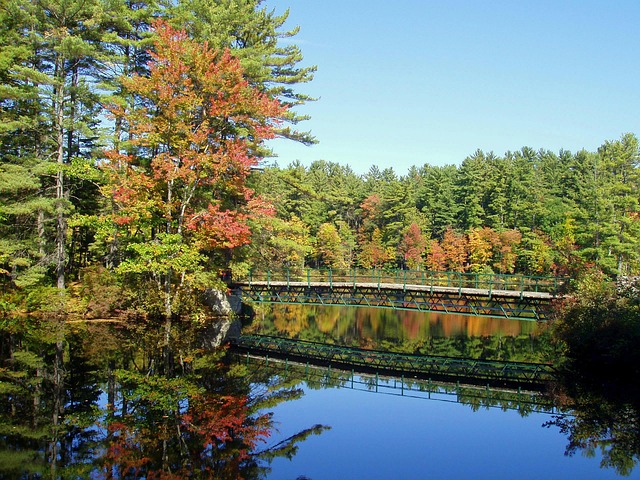 Partial Hospitalization in Rochester, NH: Navigating Recovery Options