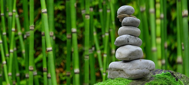 wellness retreat