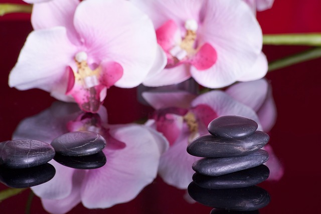 wellness-retreat-640x480-75794734.jpeg