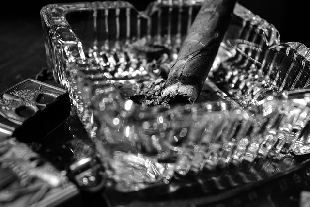 Premium Family Recovery: Transforming Lives in Luxury Settings
