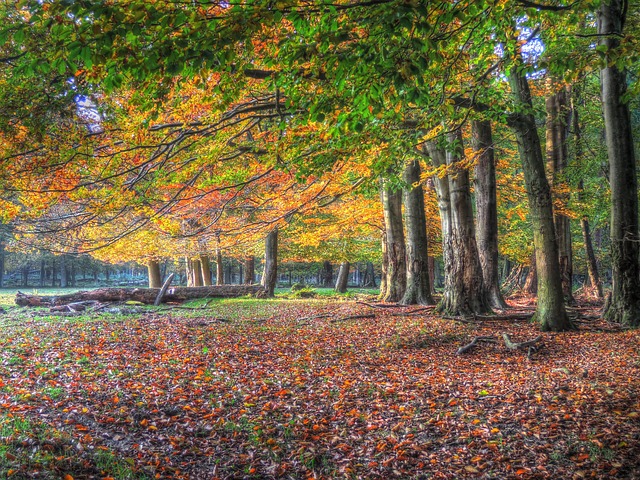 Keene, NH: Reliable Addiction Recovery Centers for Safe Detox