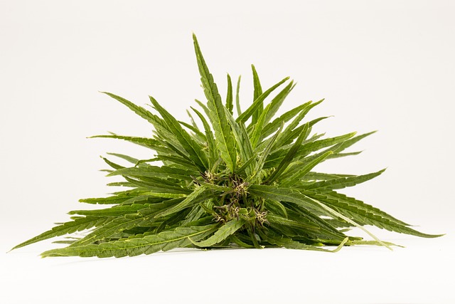 Addiction Treatment Centers Nashua New Hampshire