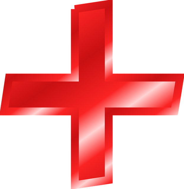 Personalized Guidance for Heroin Addiction Recovery: The Role of Coaches