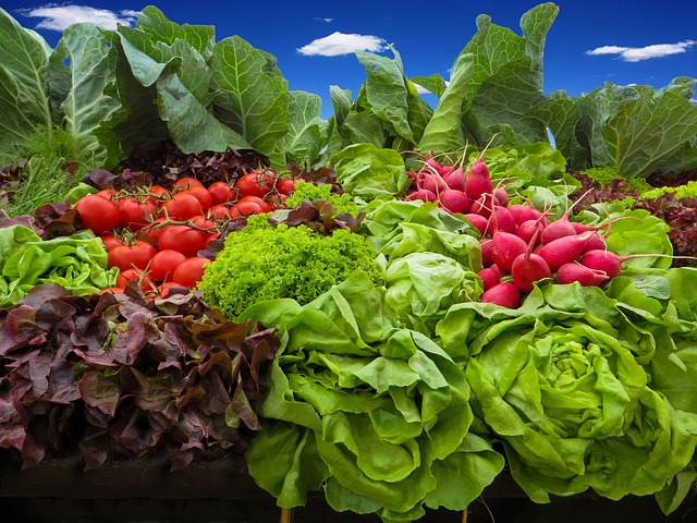 Detox Programs Concord New Hampshire