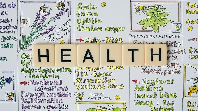 Unveiling Dover’s Detox Programs: New Hampshire Support