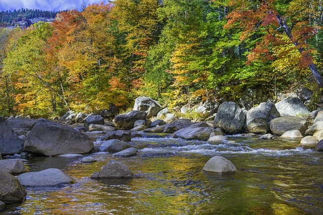 Detox Programs Nashua NH: Transforming Lives, Debunking Myths