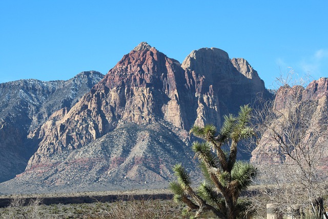 medical detox nevada