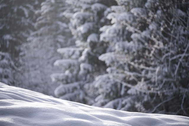 Personalized Recovery: Outpatient Rehabs Portsmouth New Hampshire
