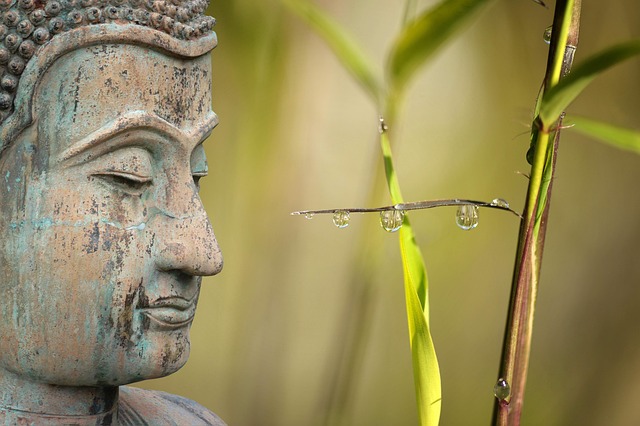Unleash Healing: Luxury Family Therapy for Transformative Recovery